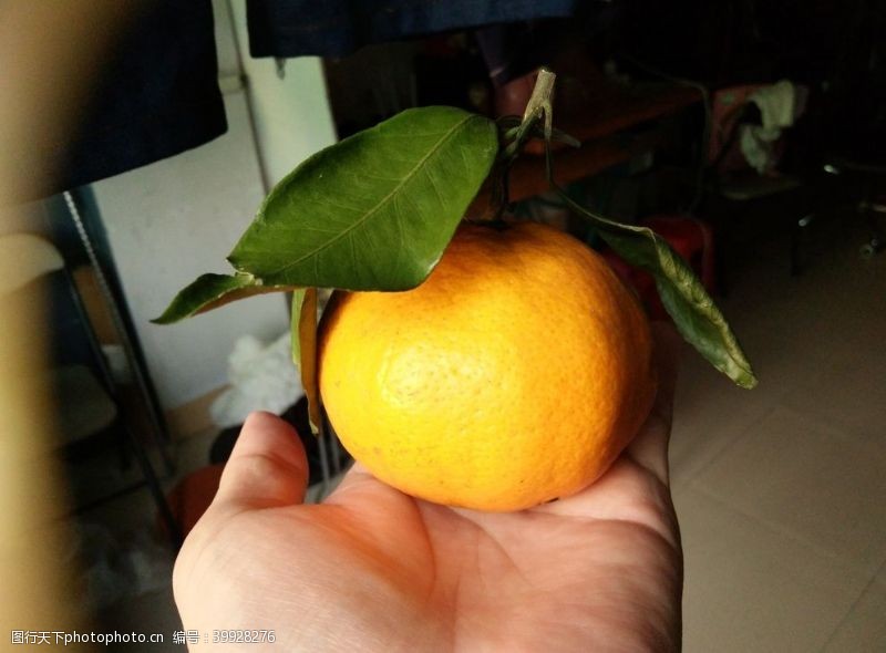 桔子橙图片