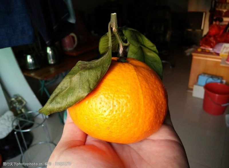 生鲜水果素材橙图片