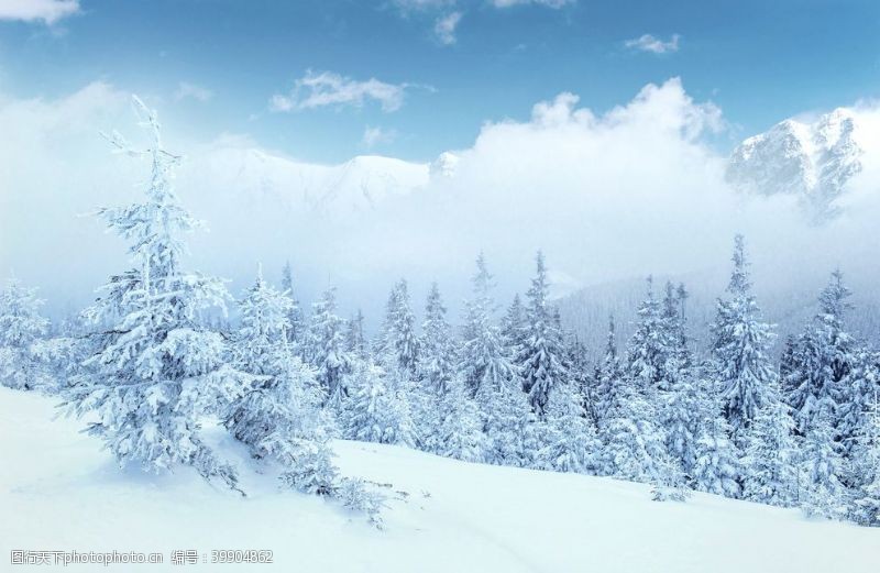 卡通树木冬天雪景图片