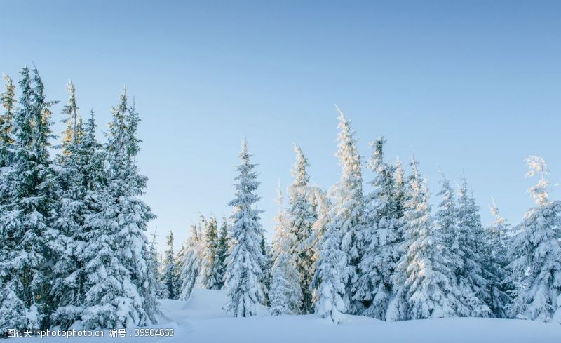 卡通树木冬天雪景图片
