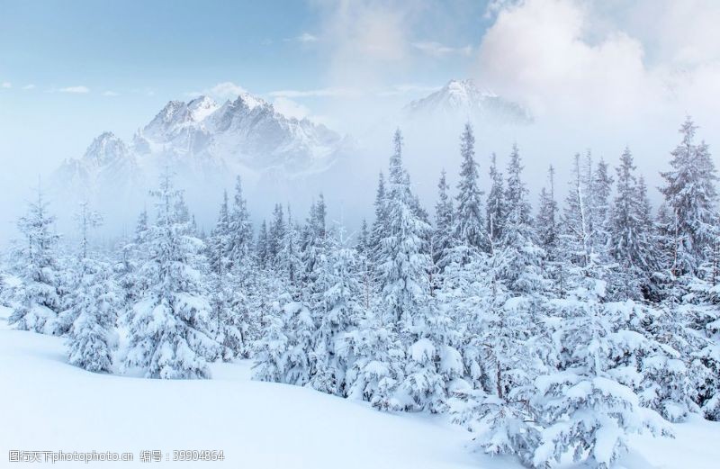 树木卡通冬天雪景图片