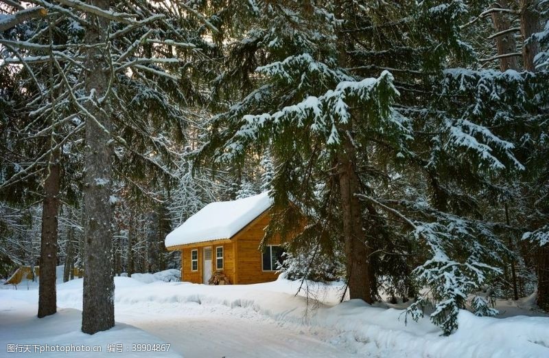 卡通景观树木冬天雪景图片