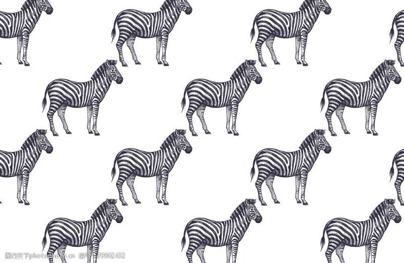长颈鹿动物丝巾图案图片