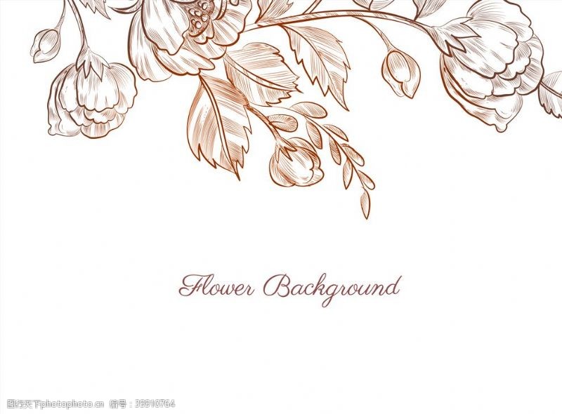 婚礼花卉花朵背景植物图片