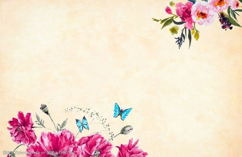 玫瑰花装饰花蝴蝶背景图片