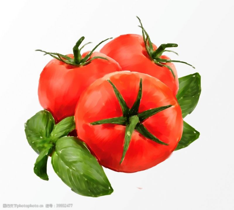 矢量西红柿手绘西红柿图片