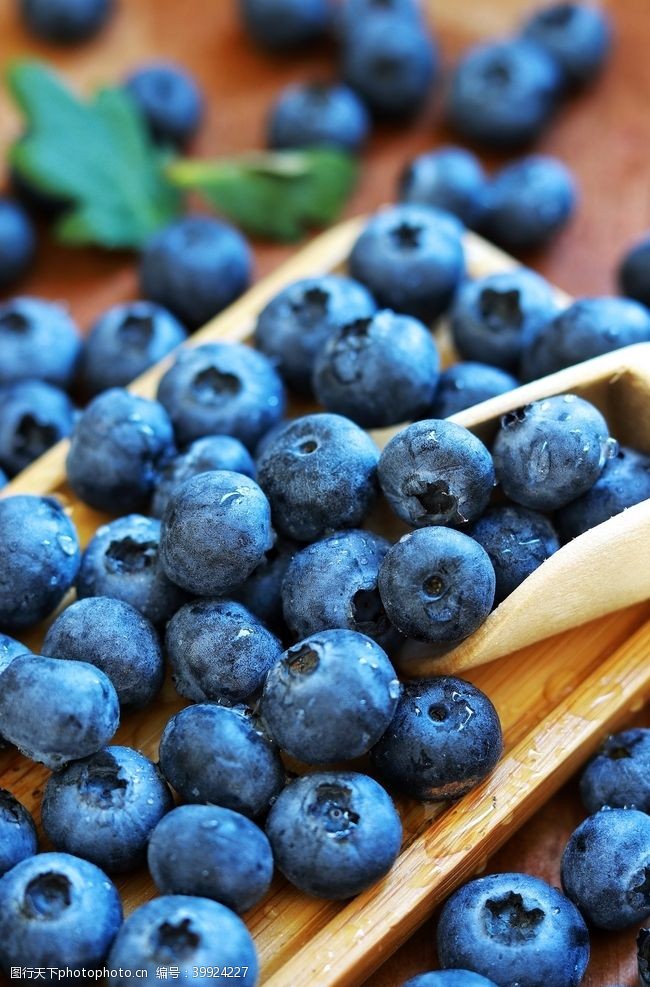 蓝莓饮料水果蓝莓图片