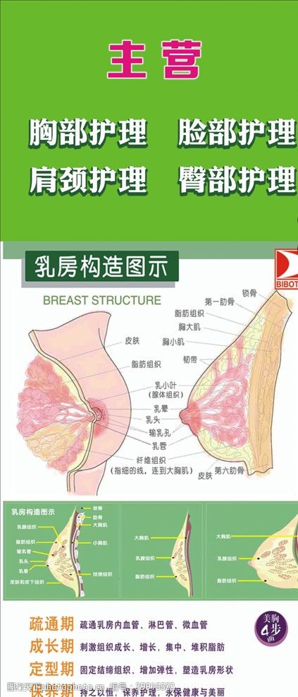 整形形象广告胸部护理脸部护理肩颈护理图片