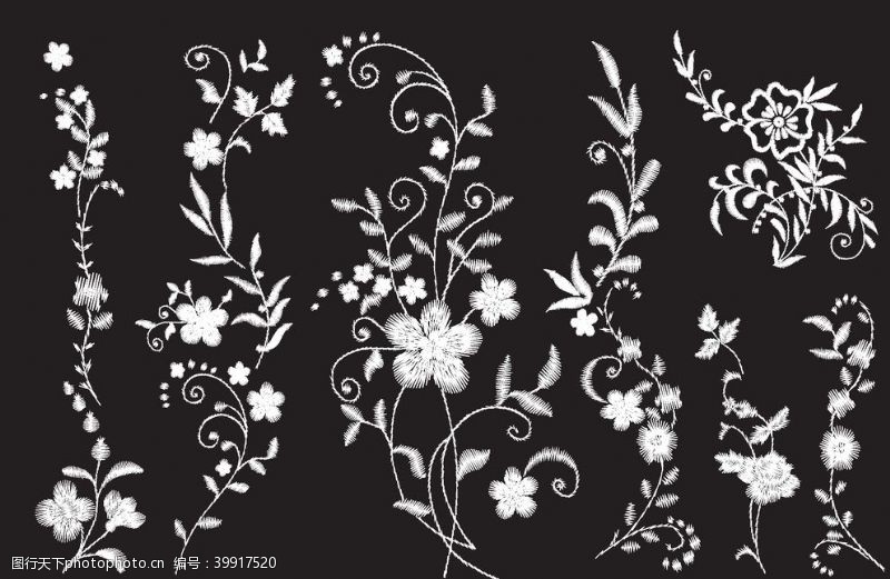 白菊花绣花黑白花图片