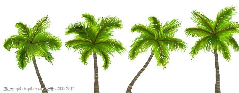 花纹字母椰子树图片