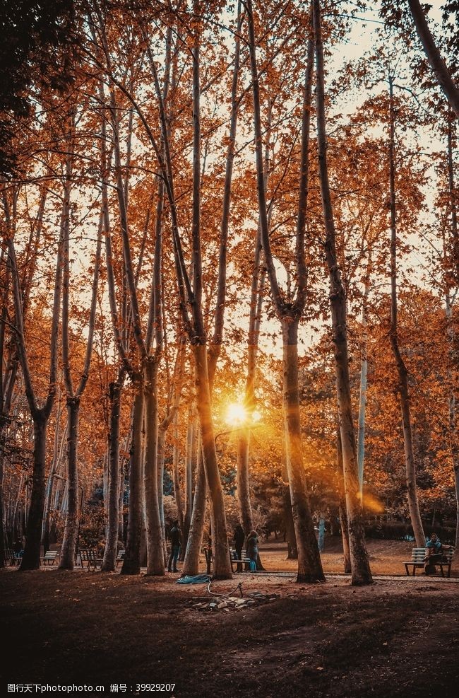 晚霞夕阳超清风景大图图片