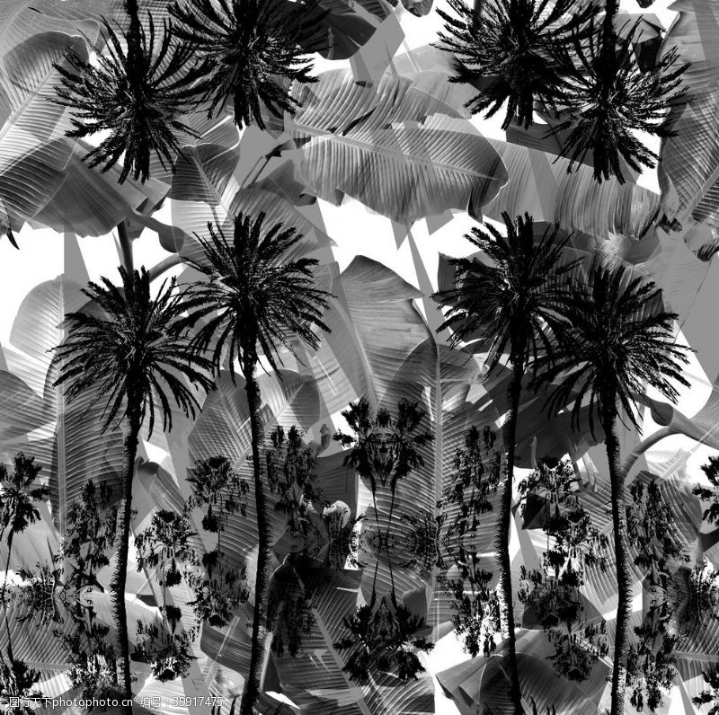 花纹字母抽象椰子树图片