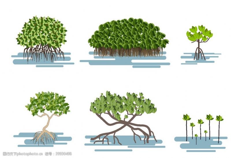 彩绘绿色树叶卡通水生植物图片