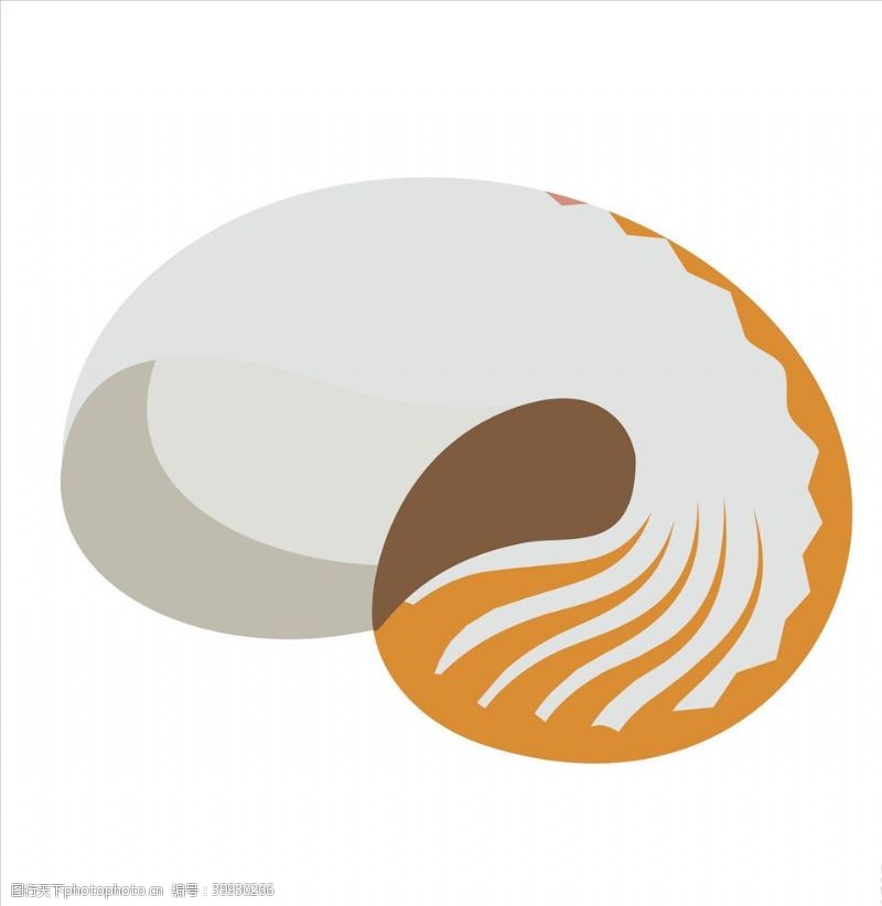 贝壳矢量海螺图片