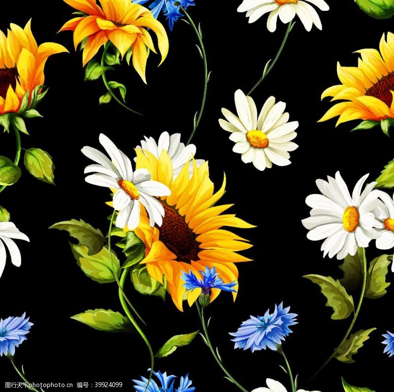 花卉油画向日葵花图片