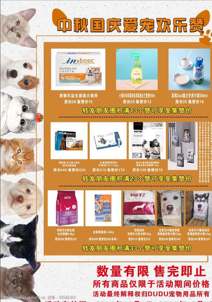 宠物用品促销单页宠物图片