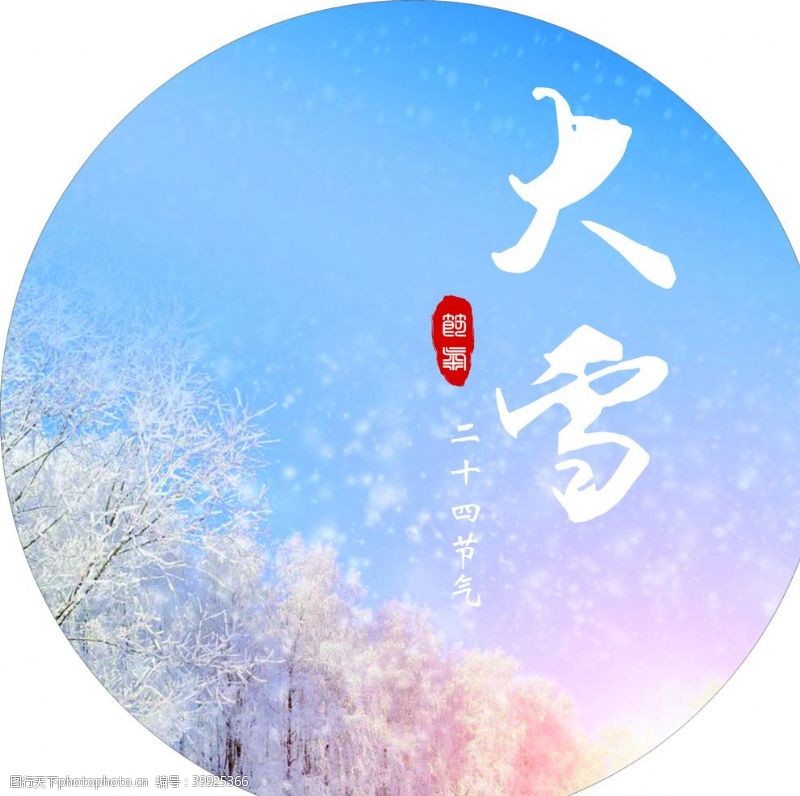 松柏大雪节气图片