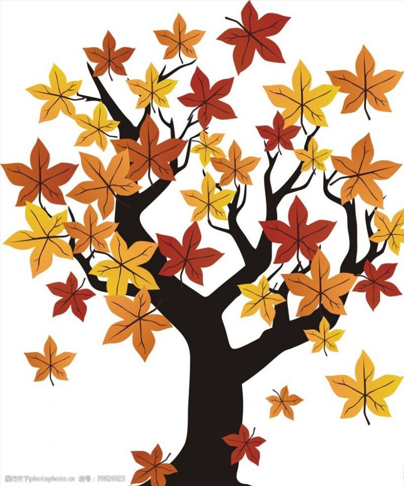秋天插图枫树图片