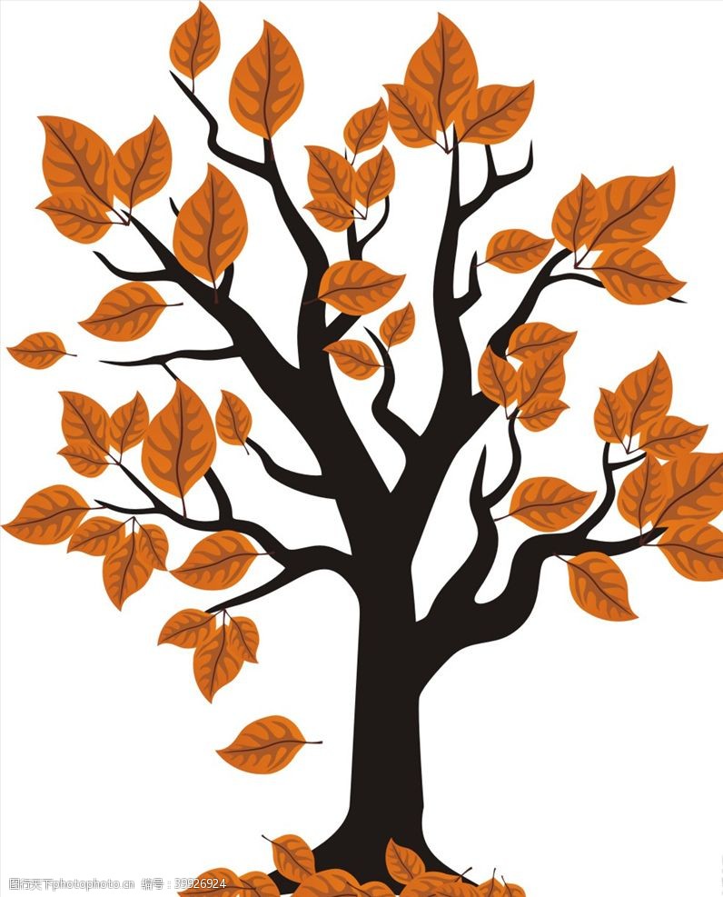 秋天插图枫树图片