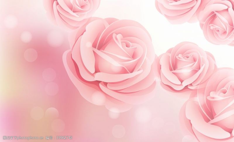 七夕情人节海报粉色玫瑰海报背景图片