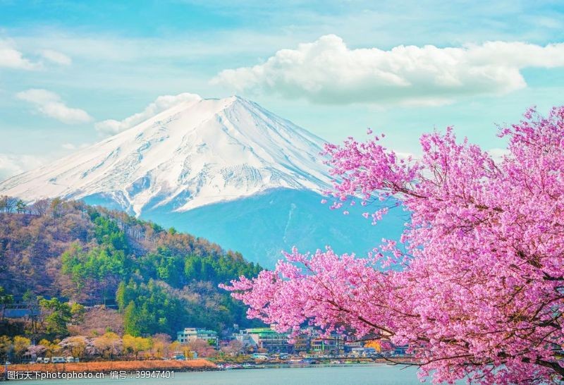 下雪的富士山下的湖水樱花装饰背景画图片