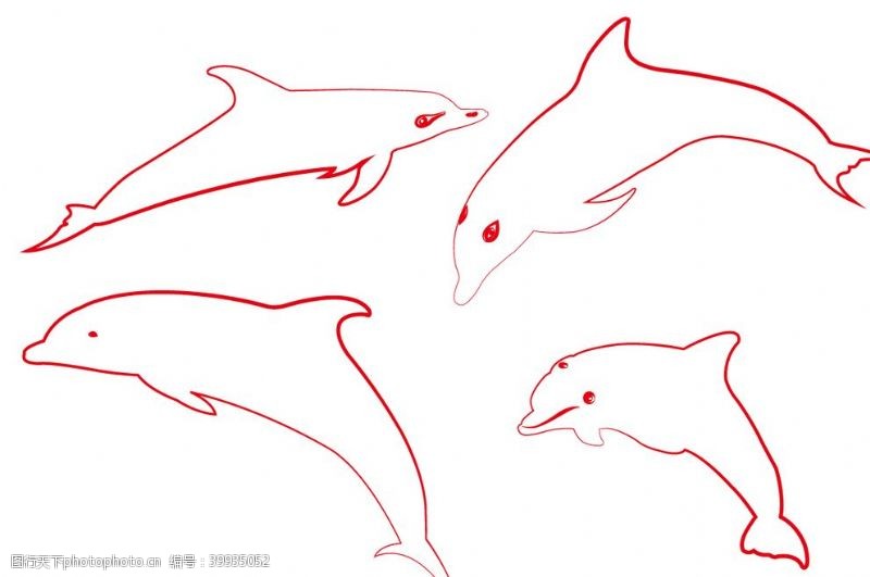 矢量海豚海豚图片
