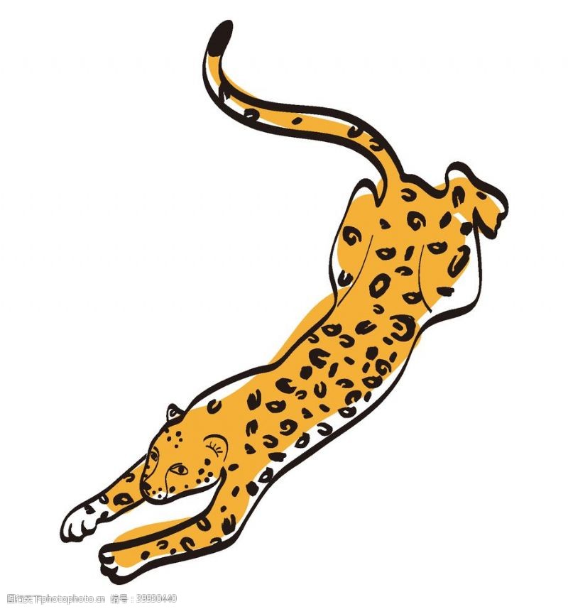 动物卡通花豹图片