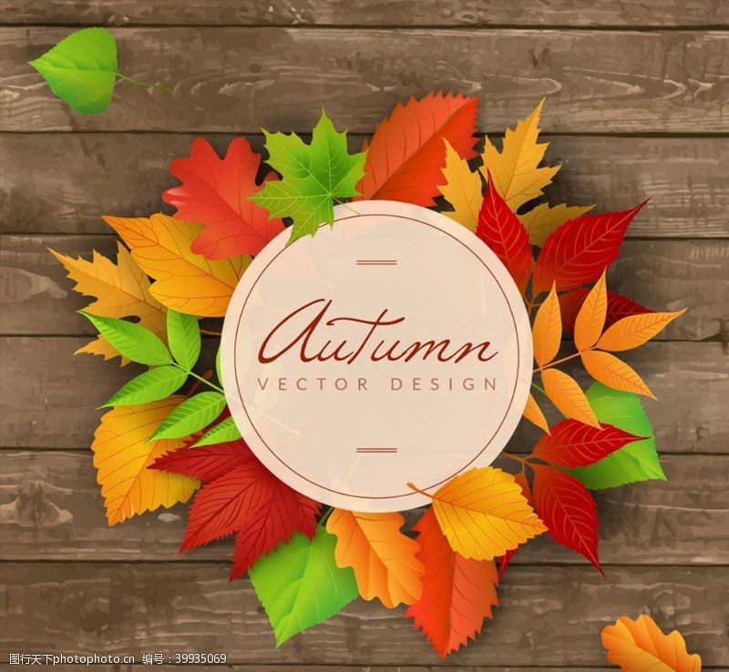 秋季叶子矢量秋季叶子装饰标签图片