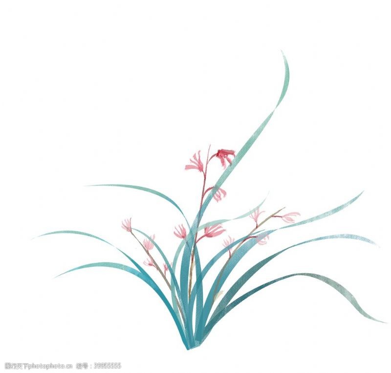 水彩花卉水墨兰花素材图片