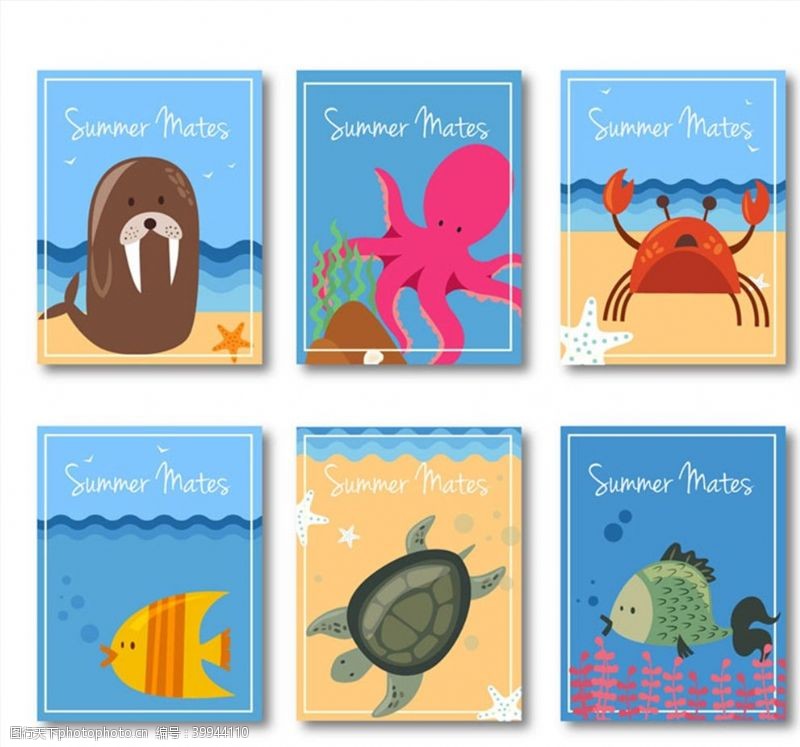 海鸥夏季动物卡片图片