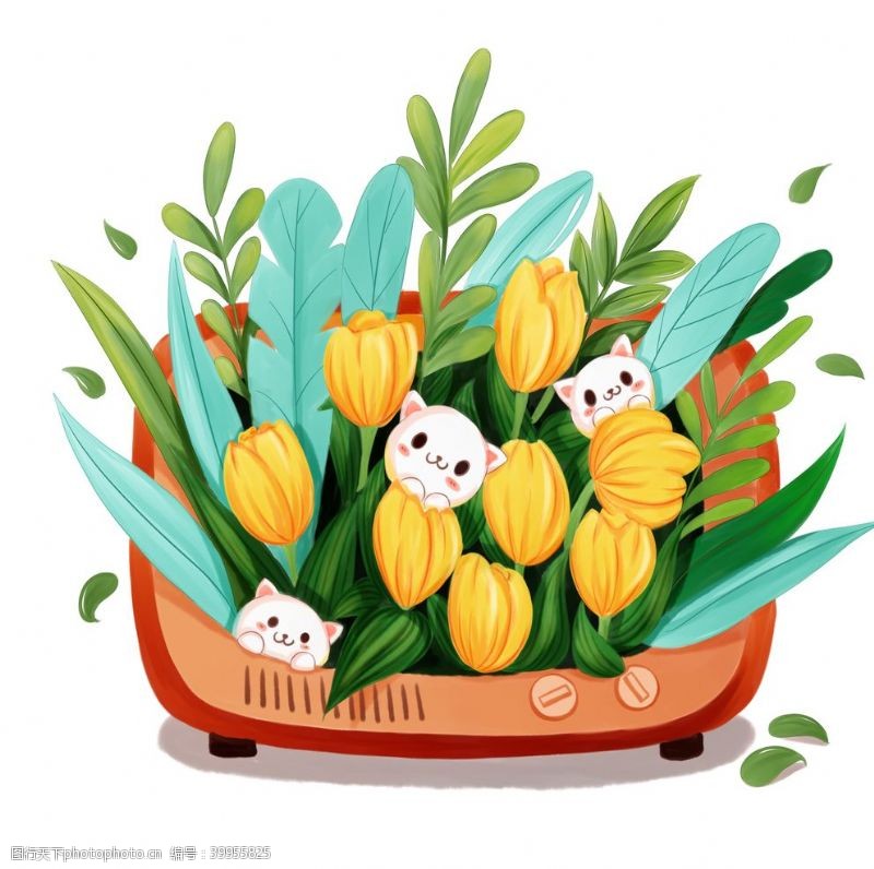 黄色花朵郁金香插画图片