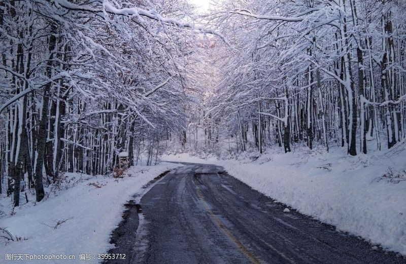 公路风光白色冬天图片