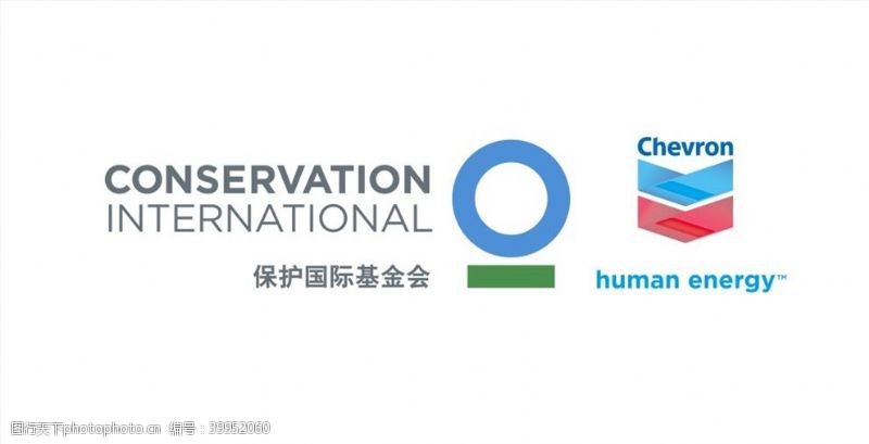 组织保护国际基金会logo图片
