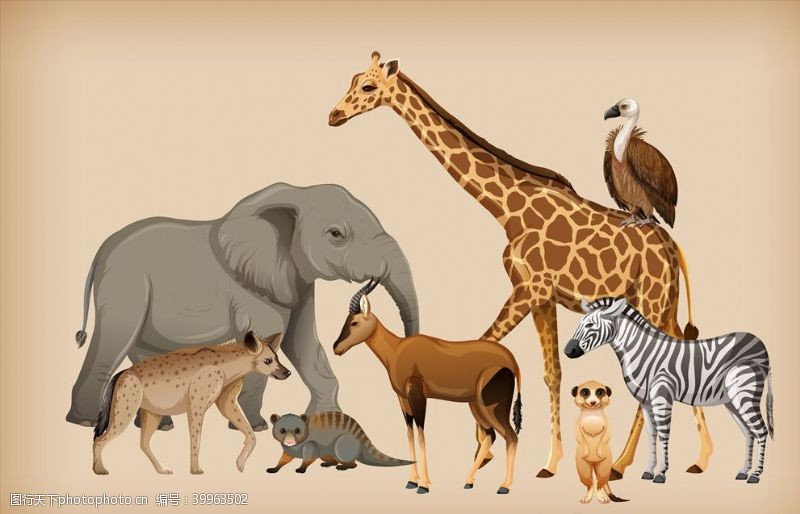 野生动物宣传卡通野生动物图片