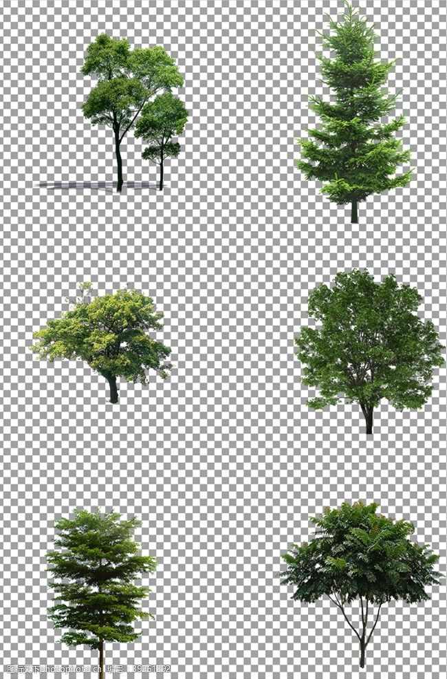 psd分成绿色树木图片
