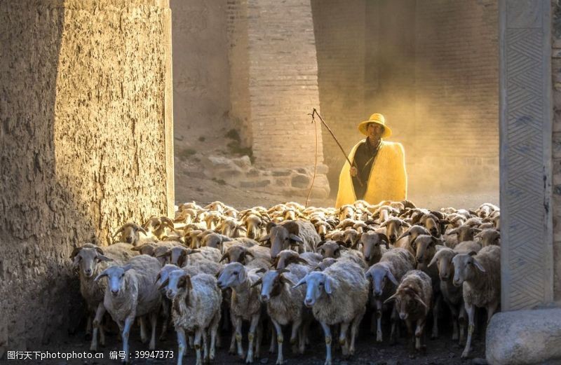 摄影作品牧羊人图片