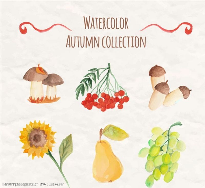 矢量水果素材秋季植物与水果图片