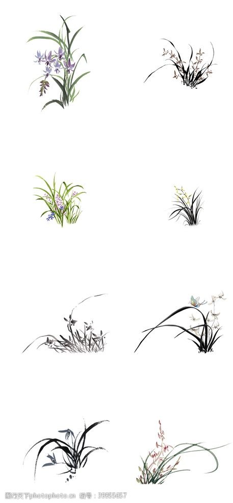 彩绘花卉手绘兰花素材图片