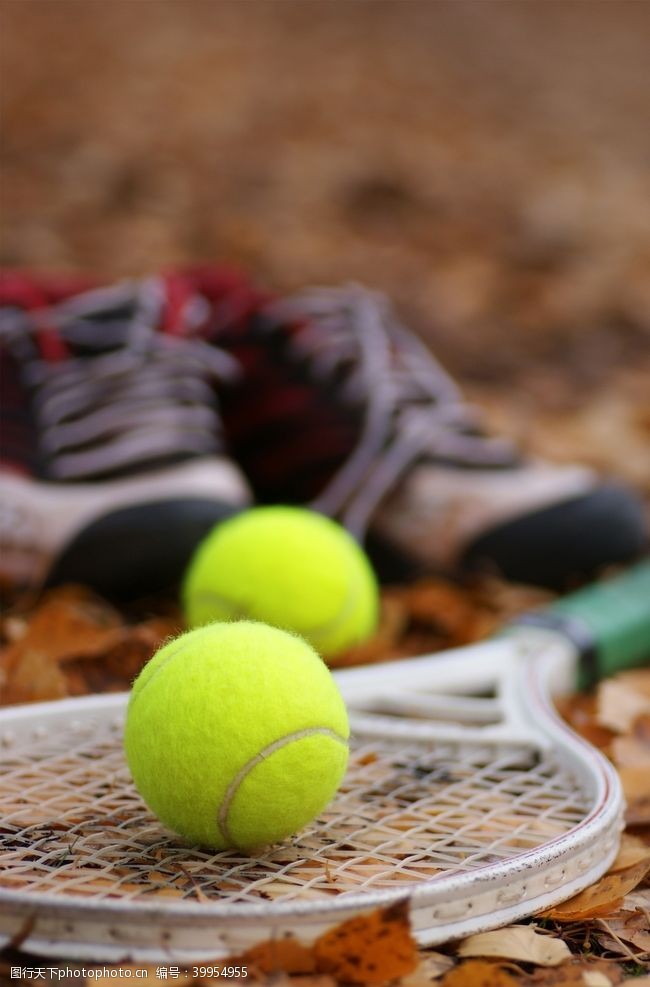 网球拍网球运动图片