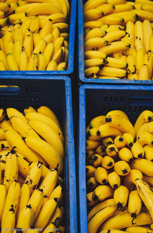 香蕉包装香蕉图片