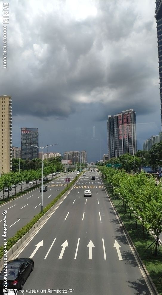 暴雨来临图片