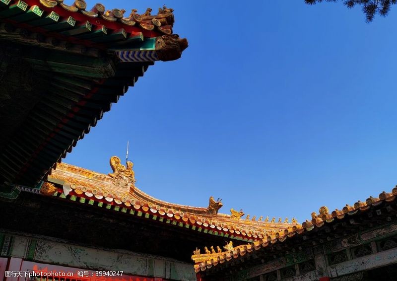 钟楼北京紫禁城故宫博物馆图片