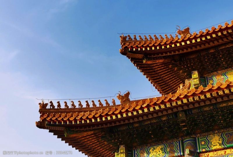 银杏叶北京紫禁城故宫博物馆图片