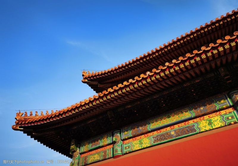 银杏叶北京紫禁城故宫博物馆图片