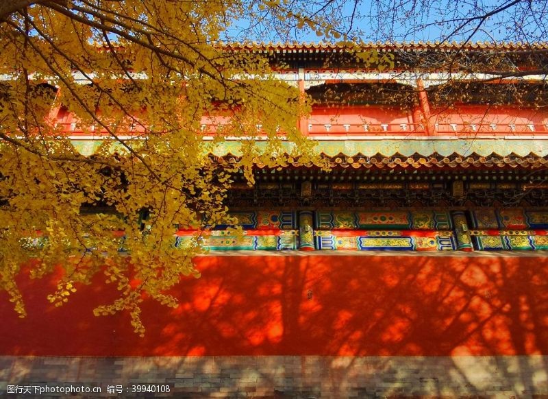 历史人物北京紫禁城故宫博物馆银杏图片