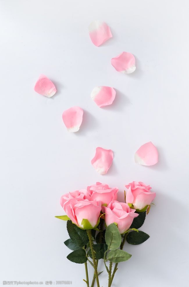 花束装饰粉色玫瑰花图片