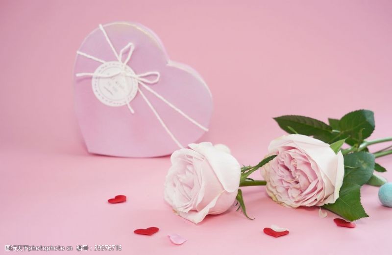 瑜珈粉色玫瑰花图片