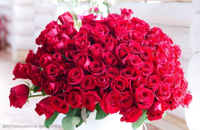 玫瑰花装饰红色玫瑰花束图片