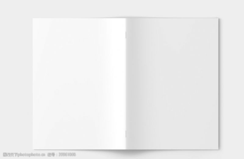 vi手册设计画册样机图片