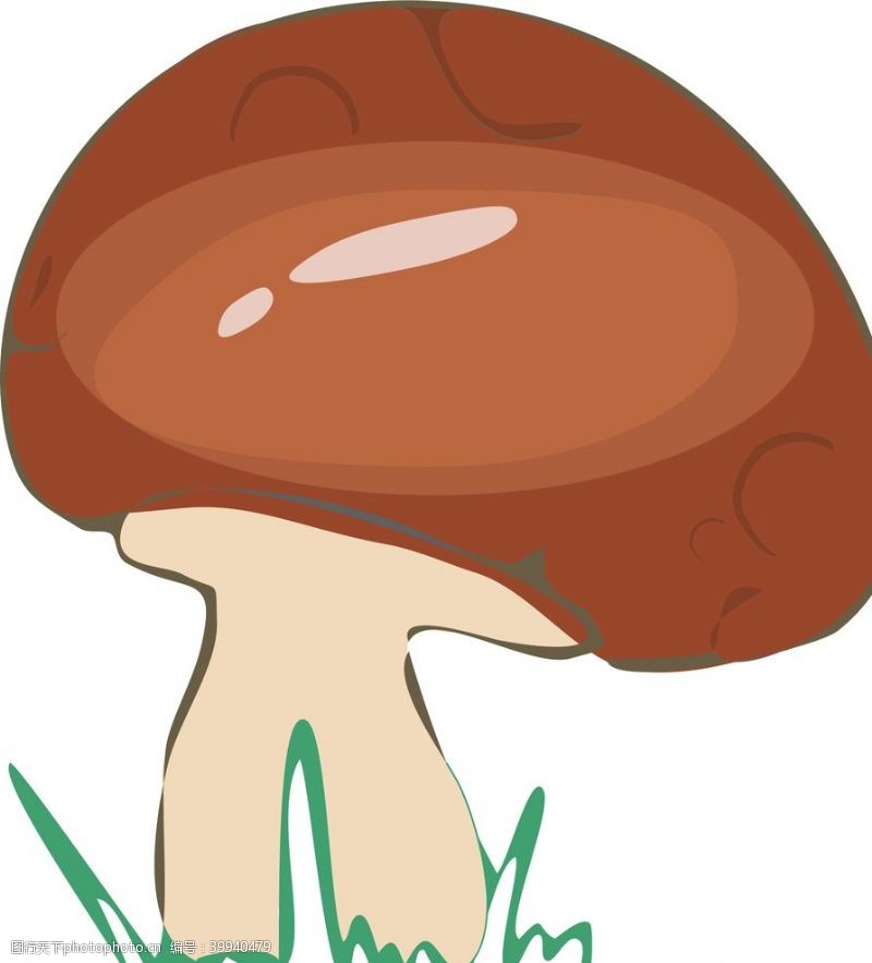 菌类可爱的小蘑菇插画图片